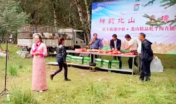 ��ע 2025-01-16 162534_����