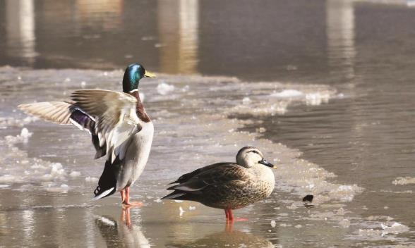 ���B��� ��20�Nˮ�B������Խ��