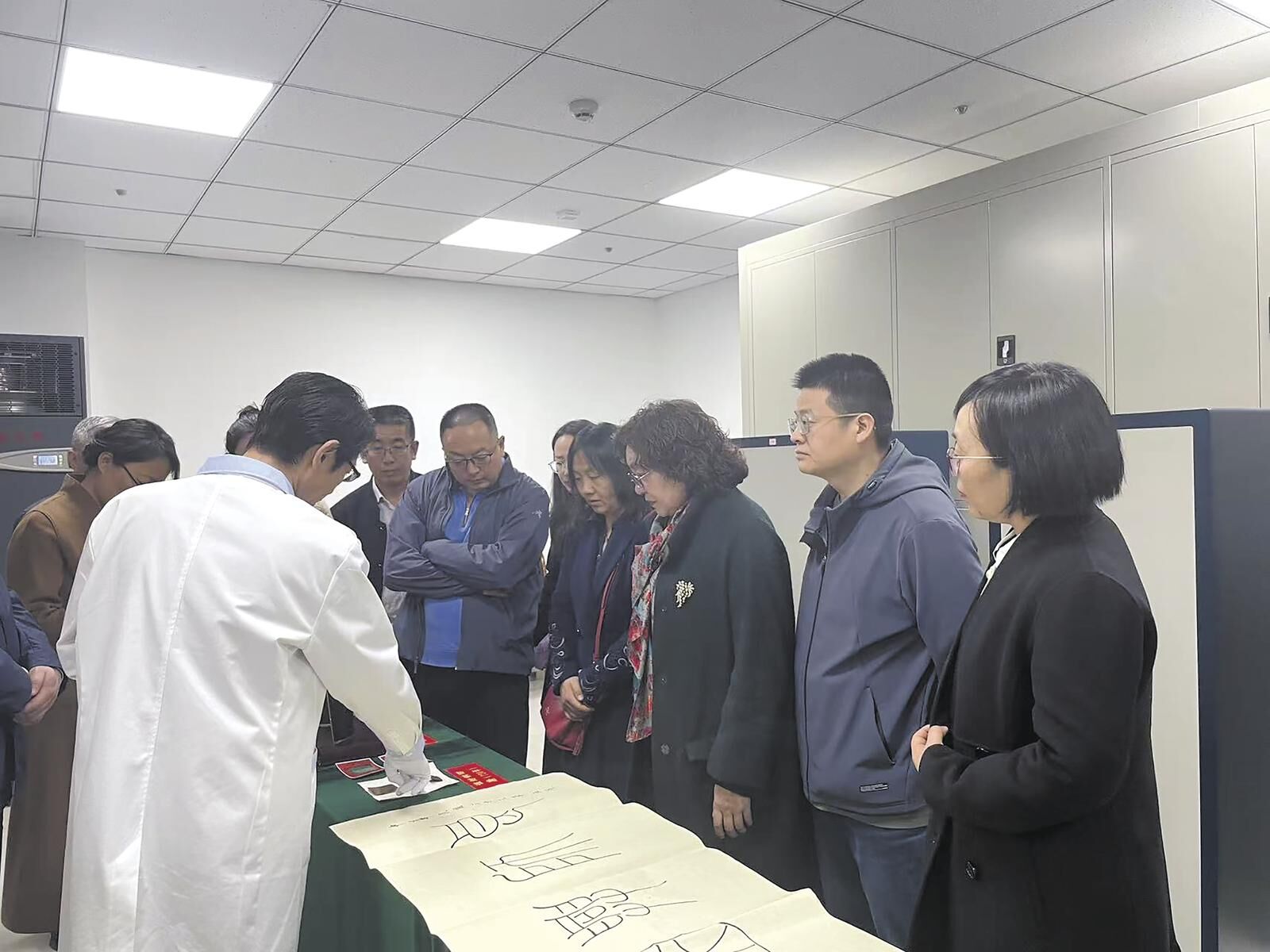 QQ�DƬ20250213061202