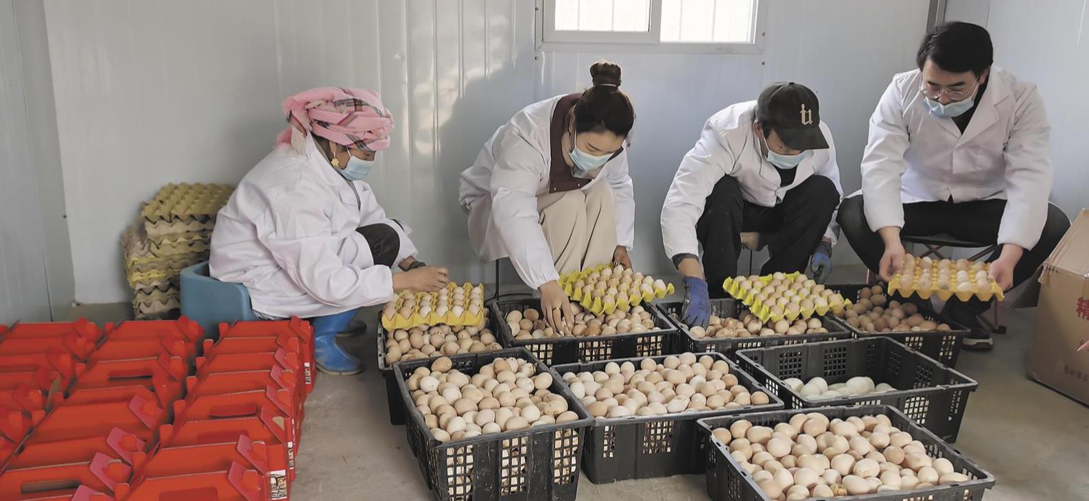 ���l�����d���������ô�ô����u���ġ����¸���·��