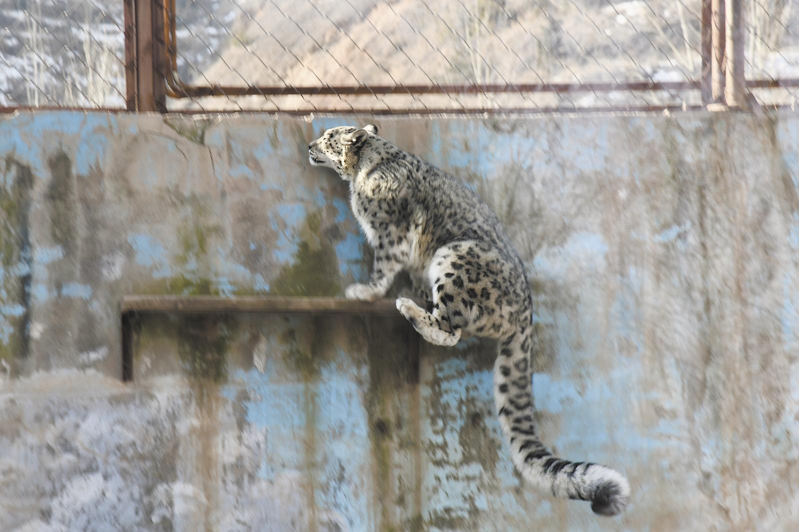 QQ�DƬ20250219061757