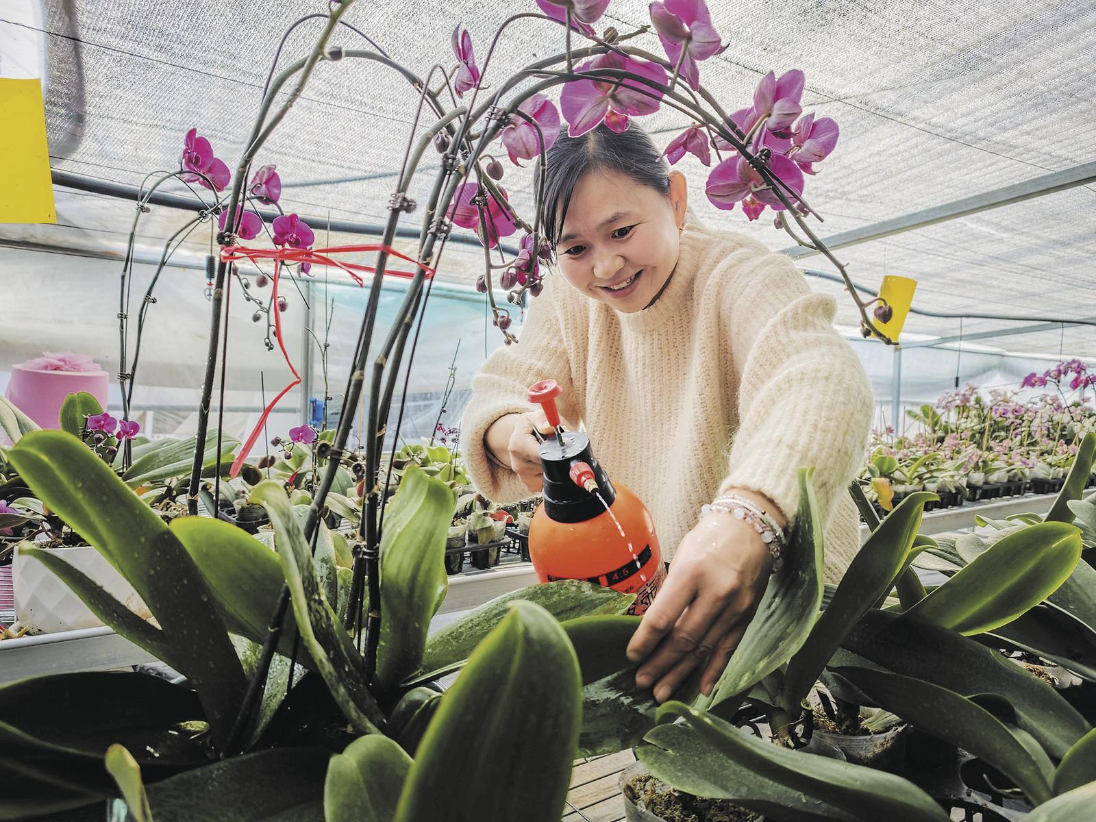 ΢�ňDƬ_20250223062312