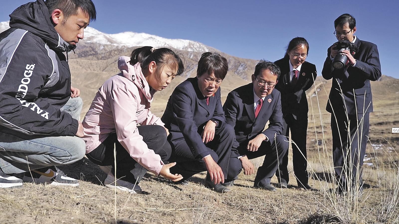 QQ�DƬ20250227061530