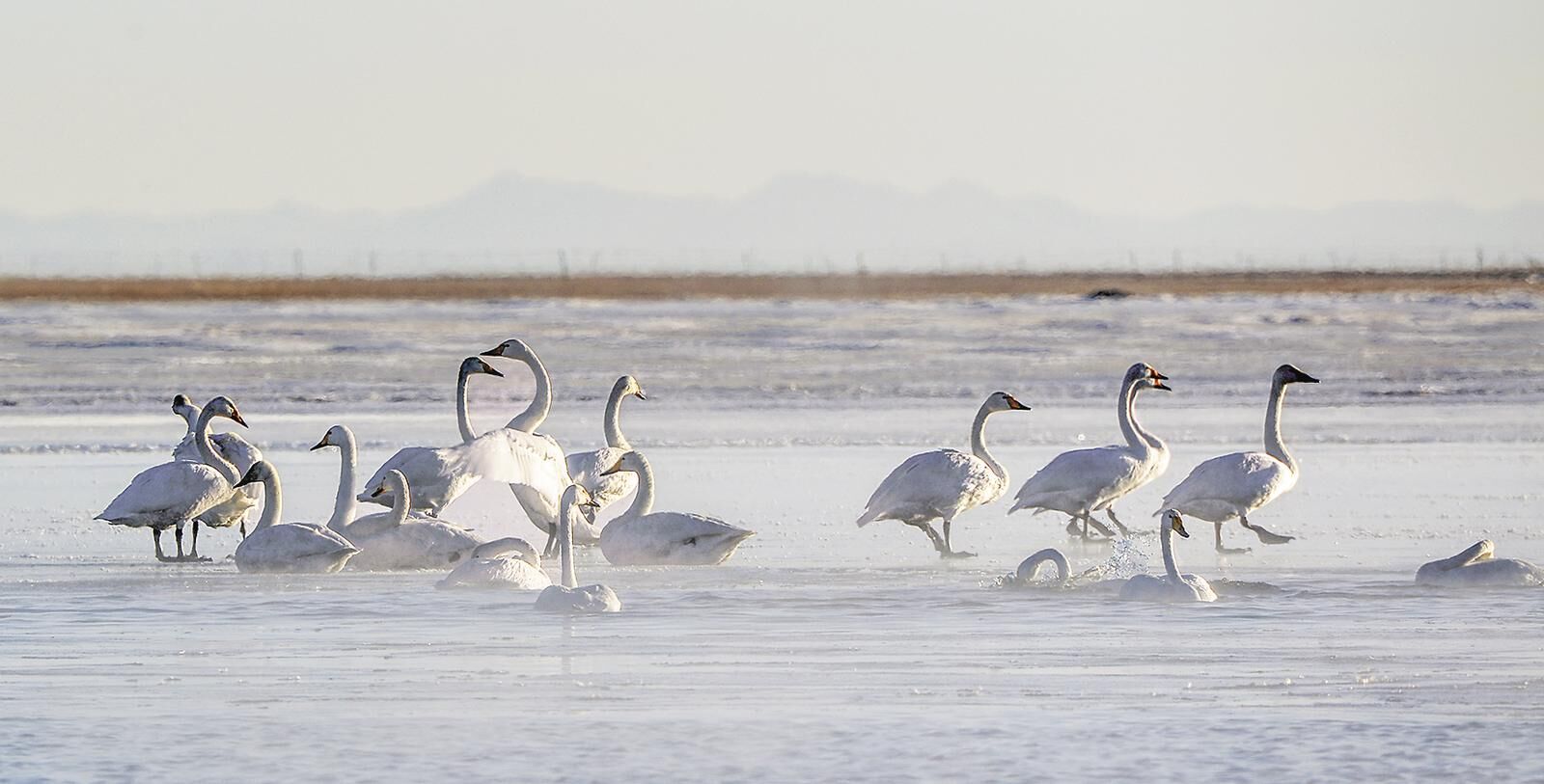 QQ�DƬ20250305060136