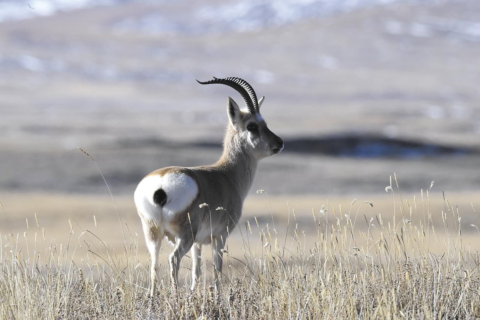 QQ�DƬ20250305060924