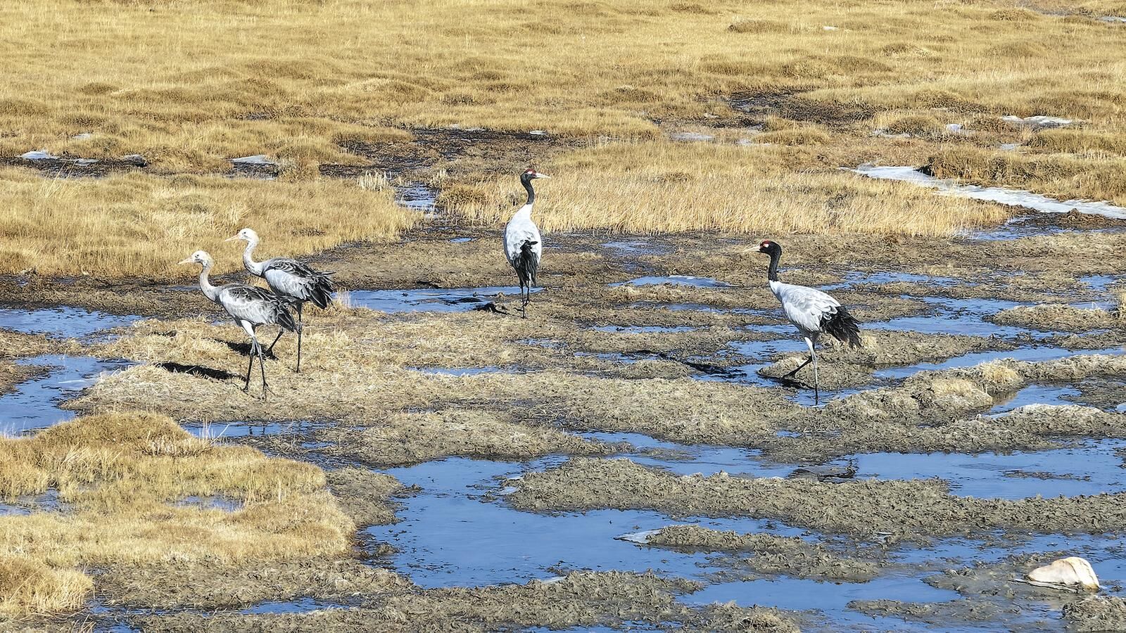 QQ�DƬ20250305060930