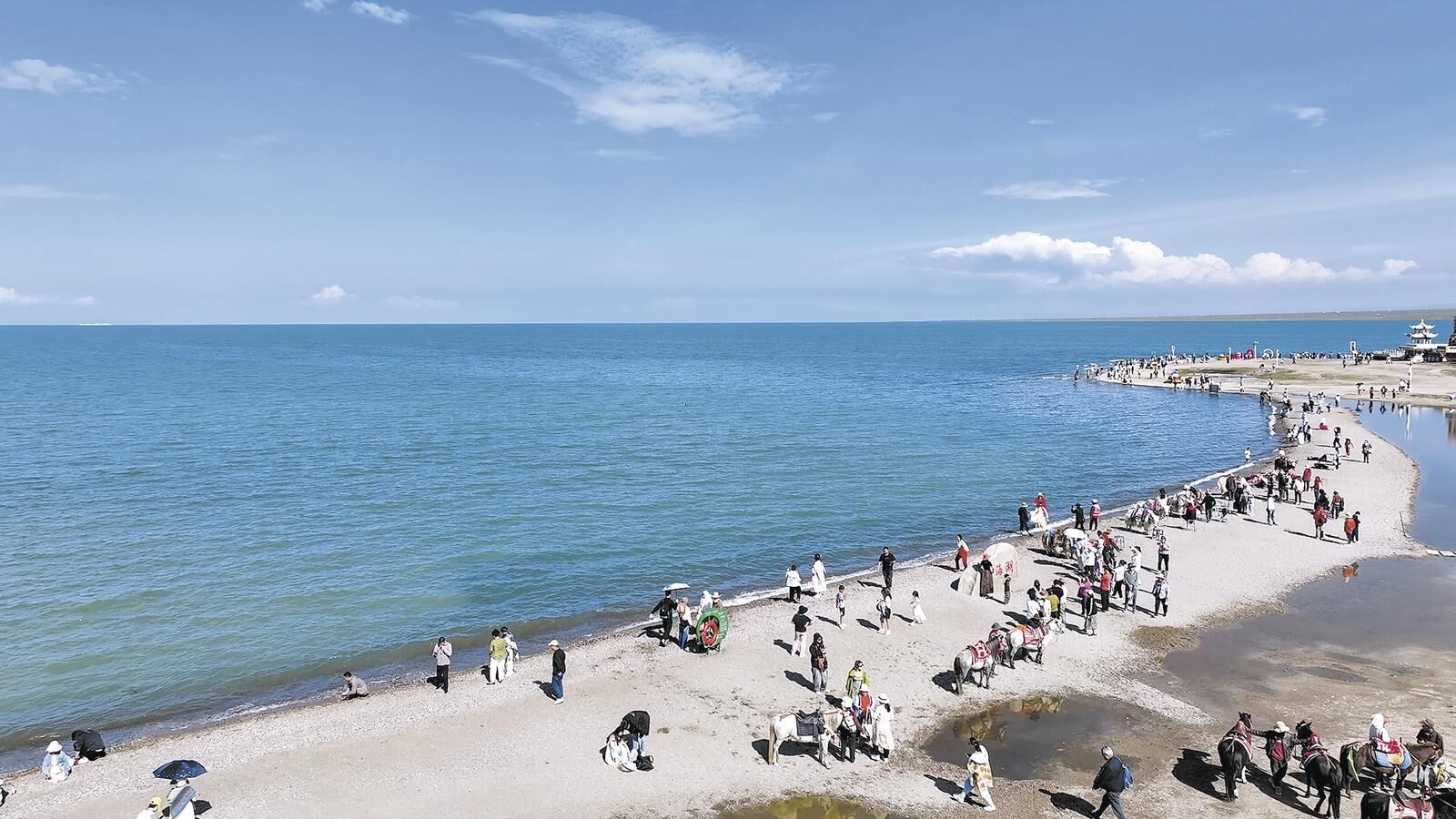 QQ�DƬ20250305060936