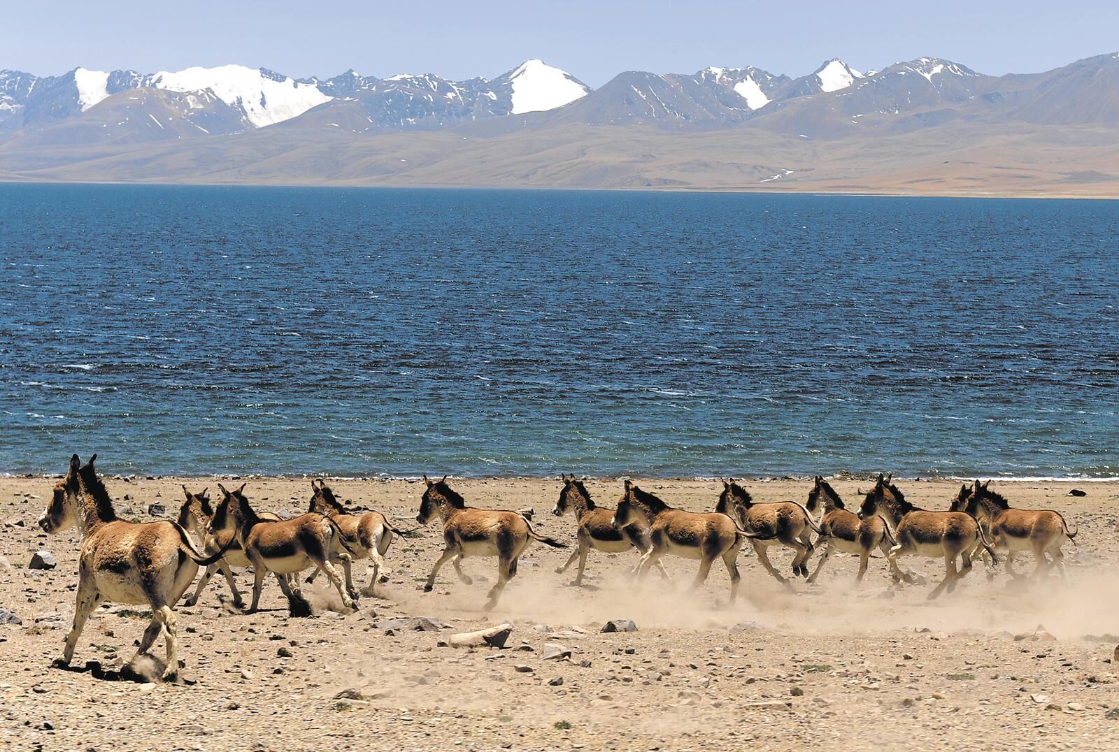 QQ�DƬ20250305061225