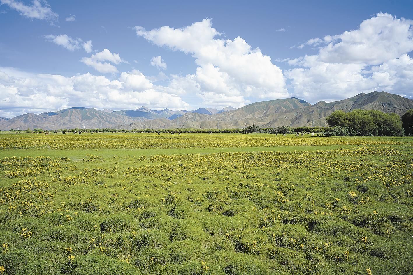 QQ�DƬ20250305061232