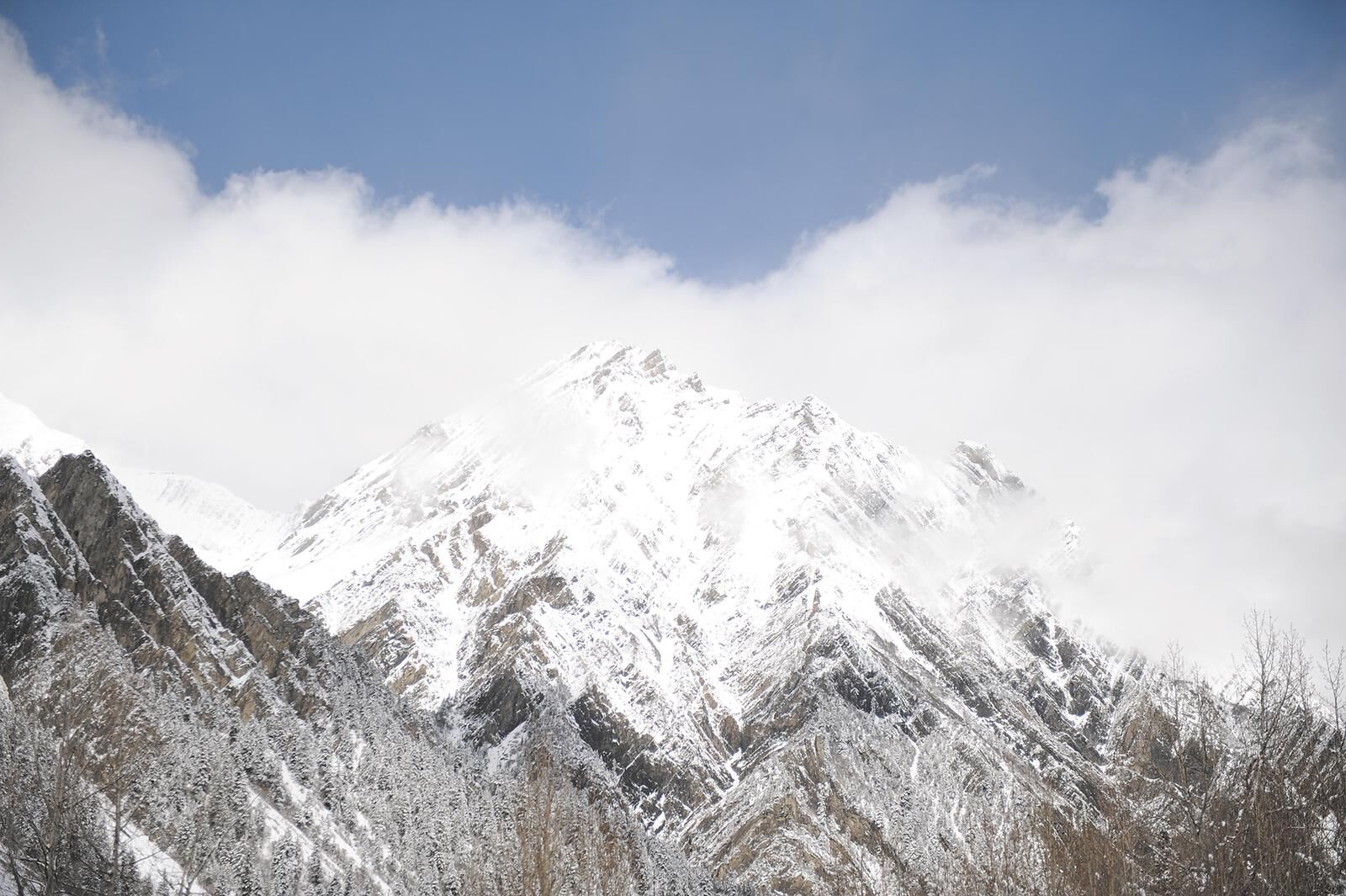 QQ�DƬ20250305061240