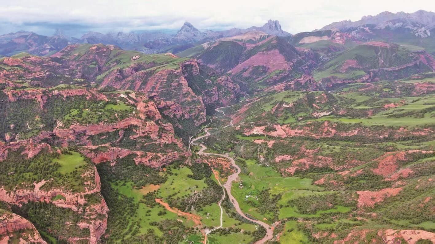 QQ�DƬ20250305063613