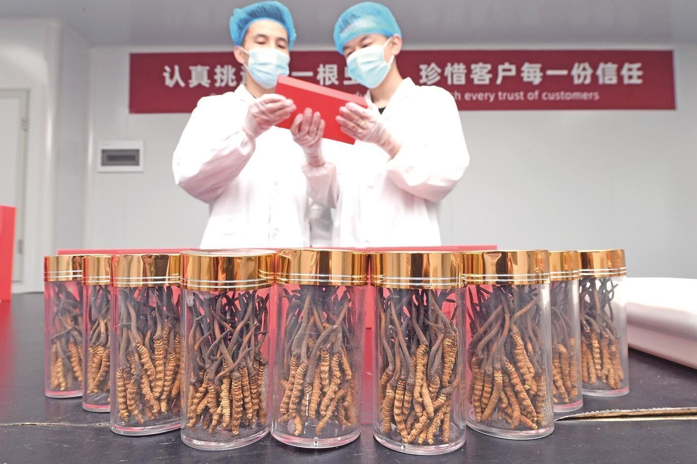 QQ�DƬ20250305064305