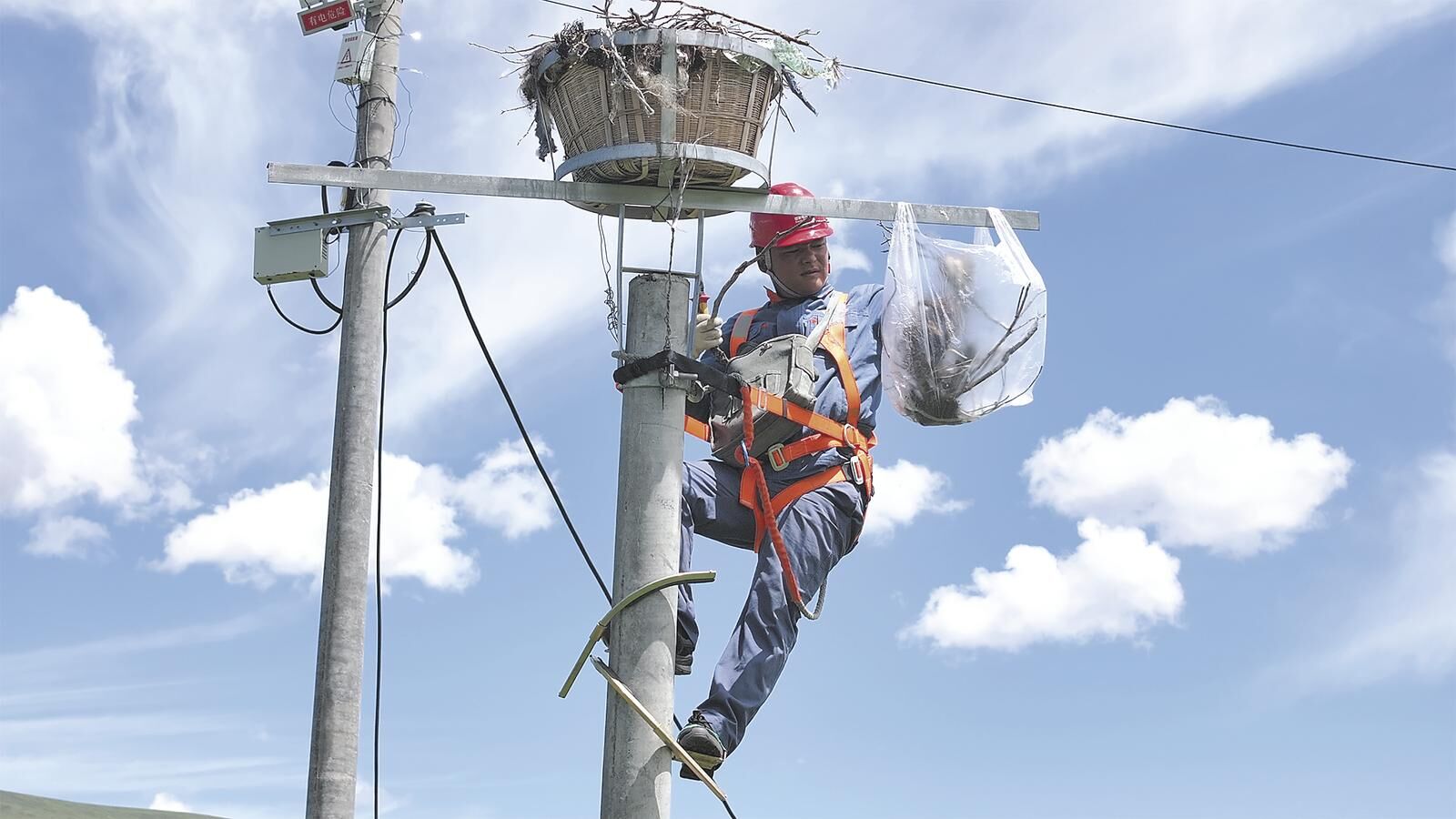 QQ�DƬ20250307063730