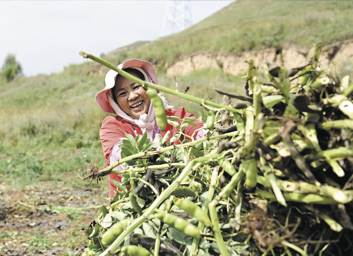 【貢獻“她”力量 綻放“她”風采】追夢新時代 巾幗綻芳華——青海省婦女事業和婦聯工作紀實