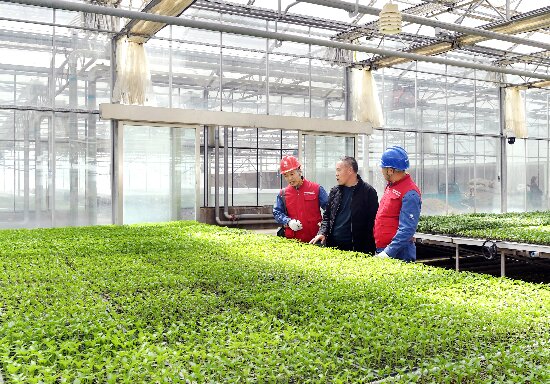 微信圖片_20250313134927