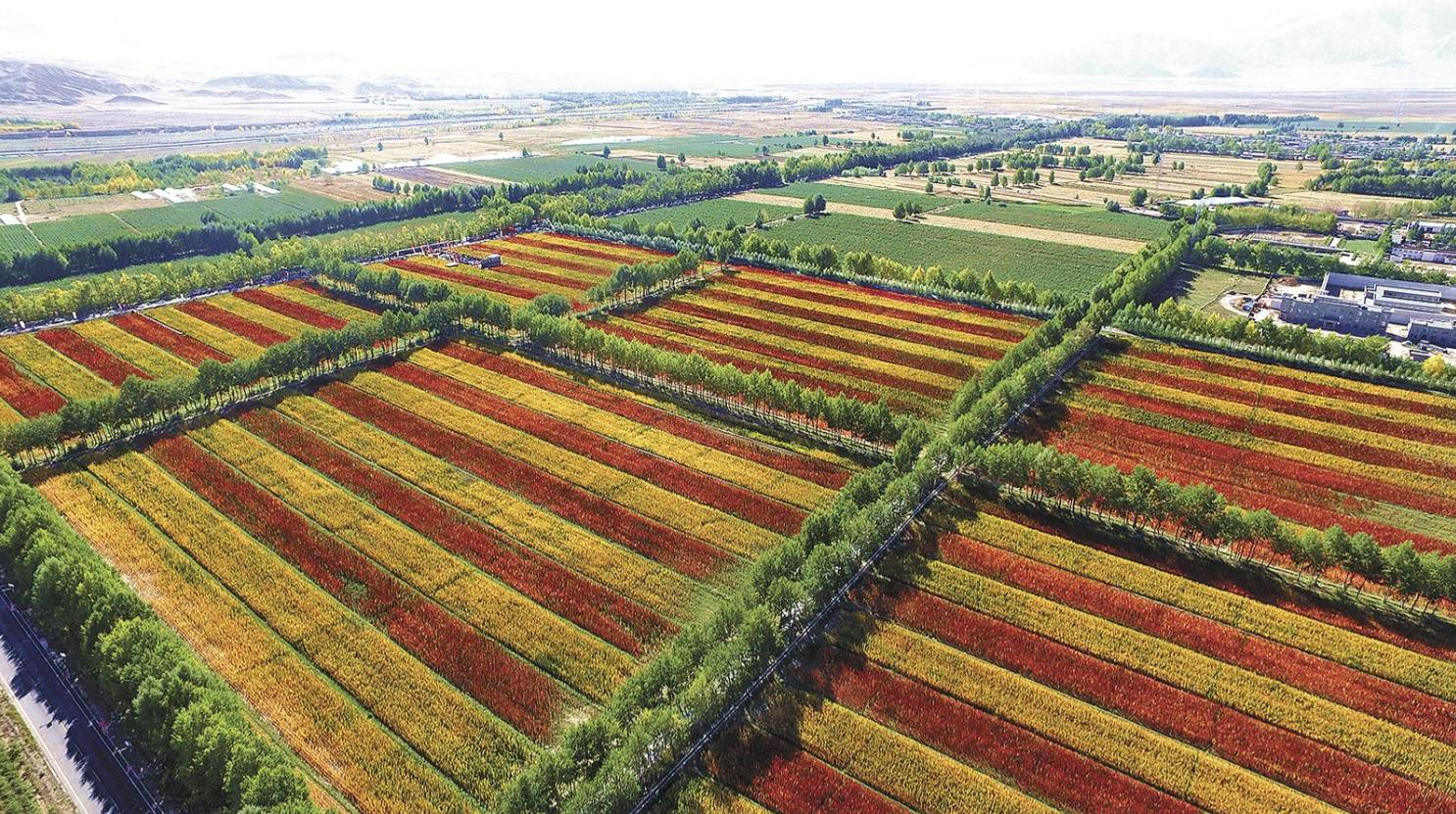 ���h���I�����ƽ�_ �،�·�� �����^���˲����f�{�lչ�����ຣʡ��һ�ăɅ^���˲�ʾ���^���O�C��