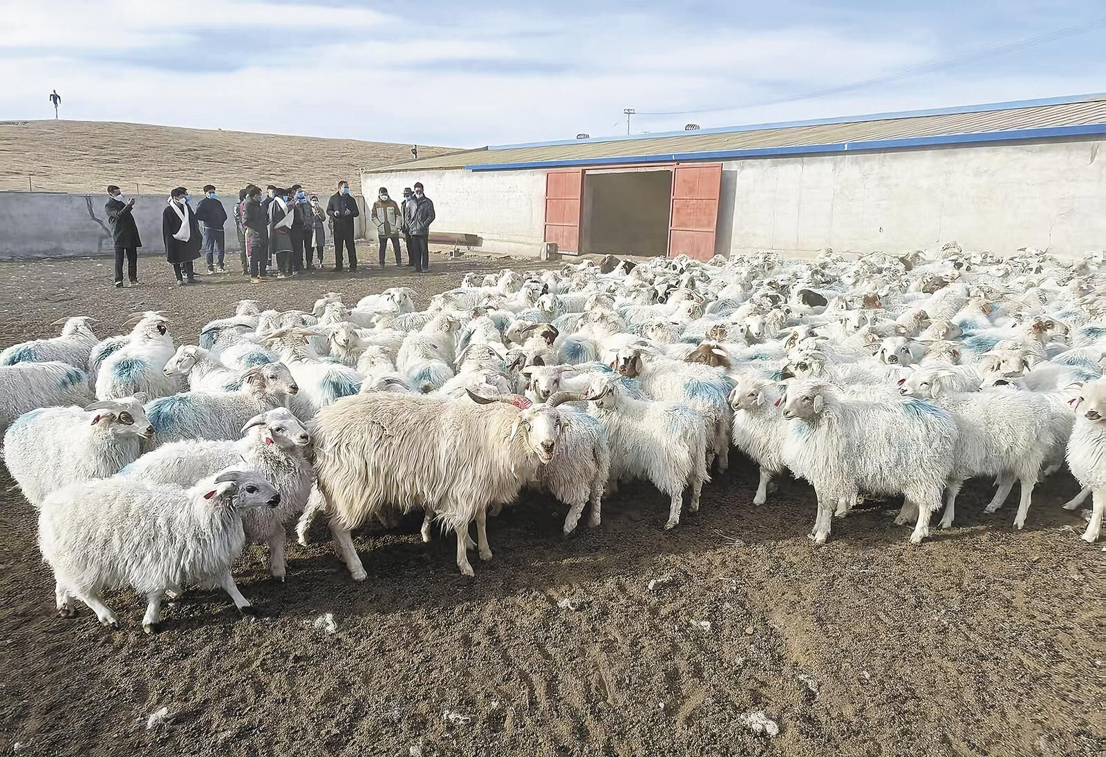 QQ�DƬ20250319054854