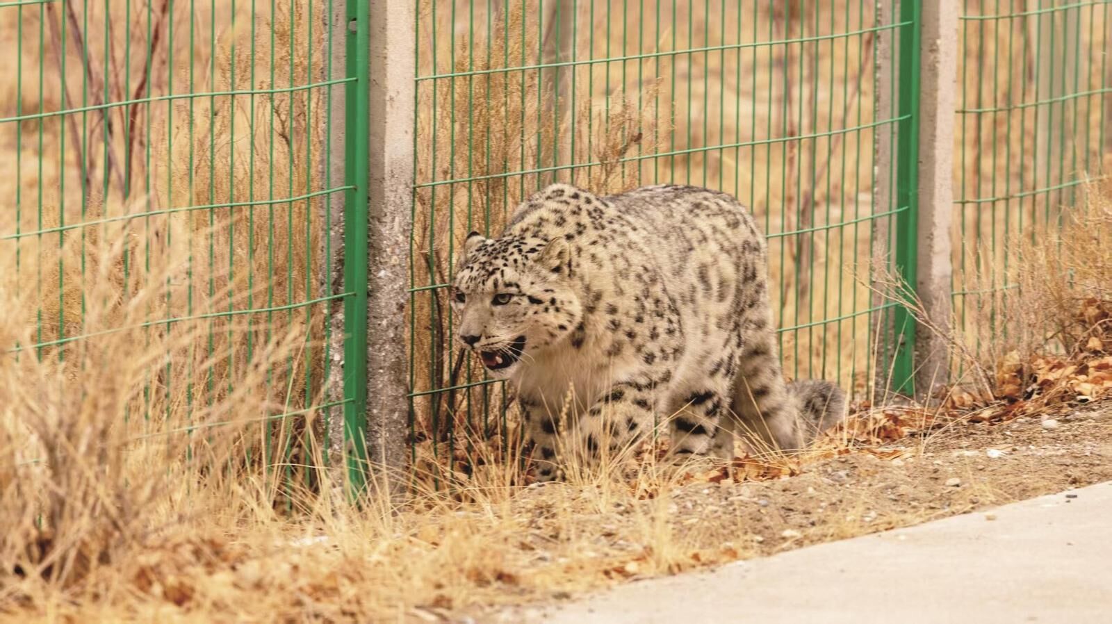 QQ�DƬ20250319060413