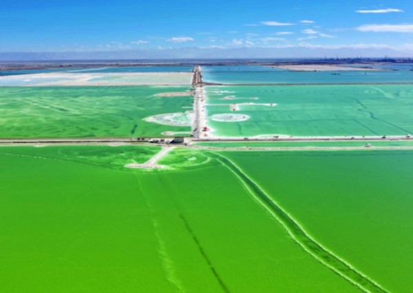 ��ע 2025-03-19 190619