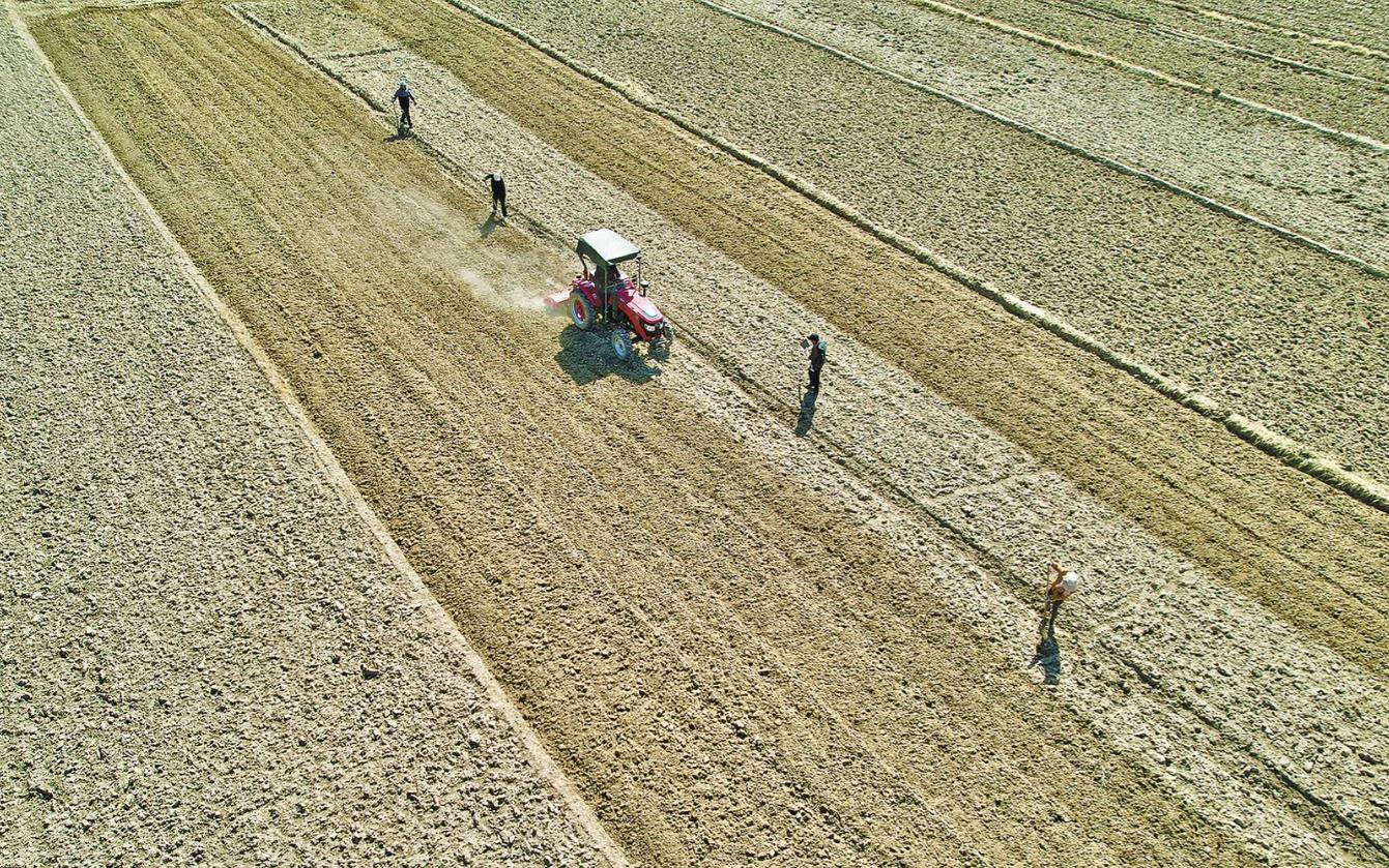 ���Pע���۽������r�� �ԡ������I֮���\�lչ��ƪ