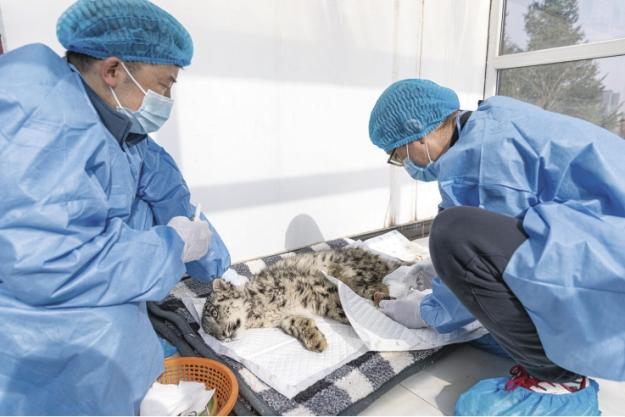 ��ȫ��������С�U�����m��� ��С�U�ܪ��������Mʳ��