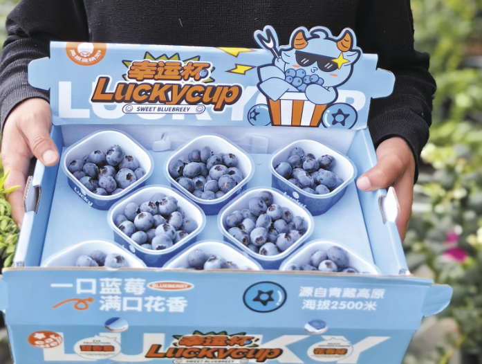 ��һ�����¡���ԭ�ϵġ��{���`��