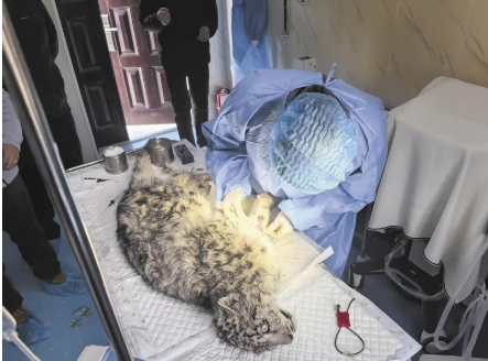 ΢�Ž؈D_20250331064912