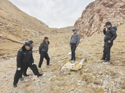 ΢�Ž؈D_20250331065010