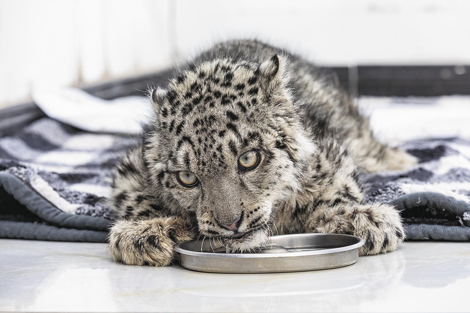 26�죬����С�U��������