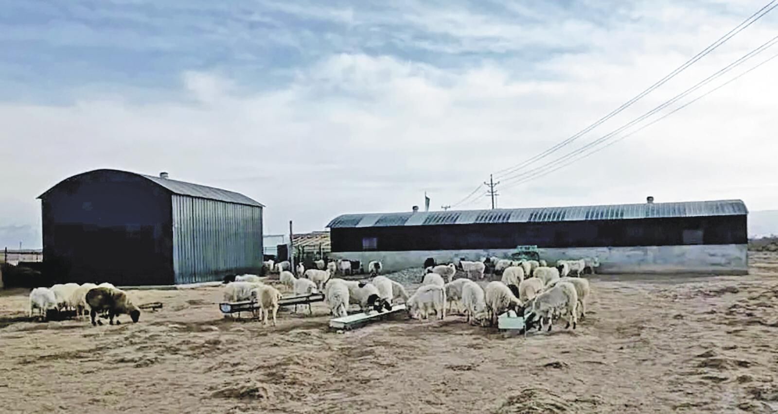 ���l(xi��ng)�����d���ຣ�������ӣ������Ͳ�߀��