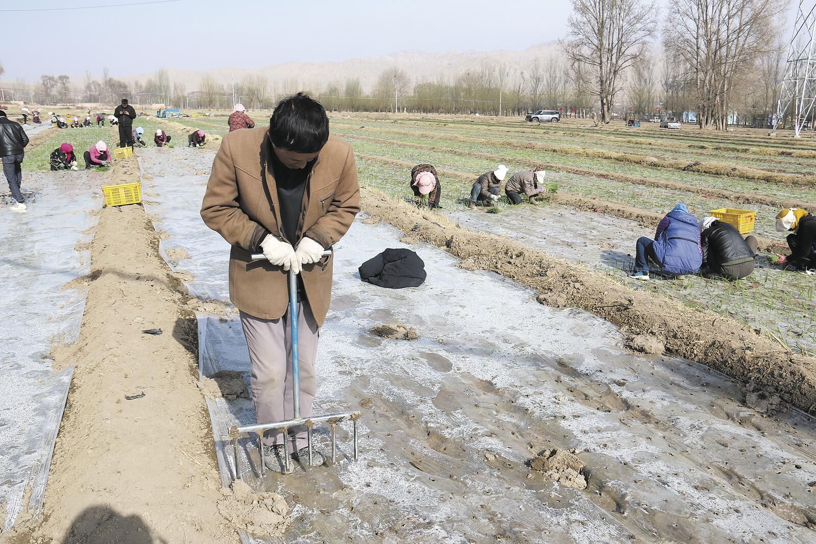 QQ�DƬ20250409055052