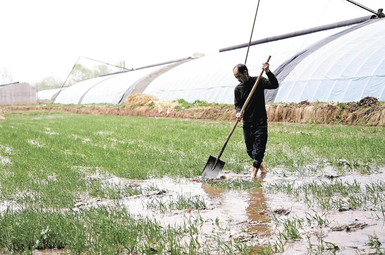 【堅定信心 實干爭先】不負農(nóng)時 忙春灌
