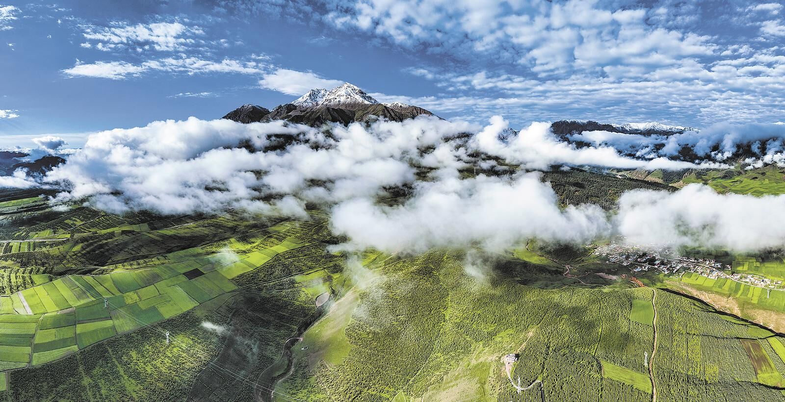 QQ�DƬ20250423061542