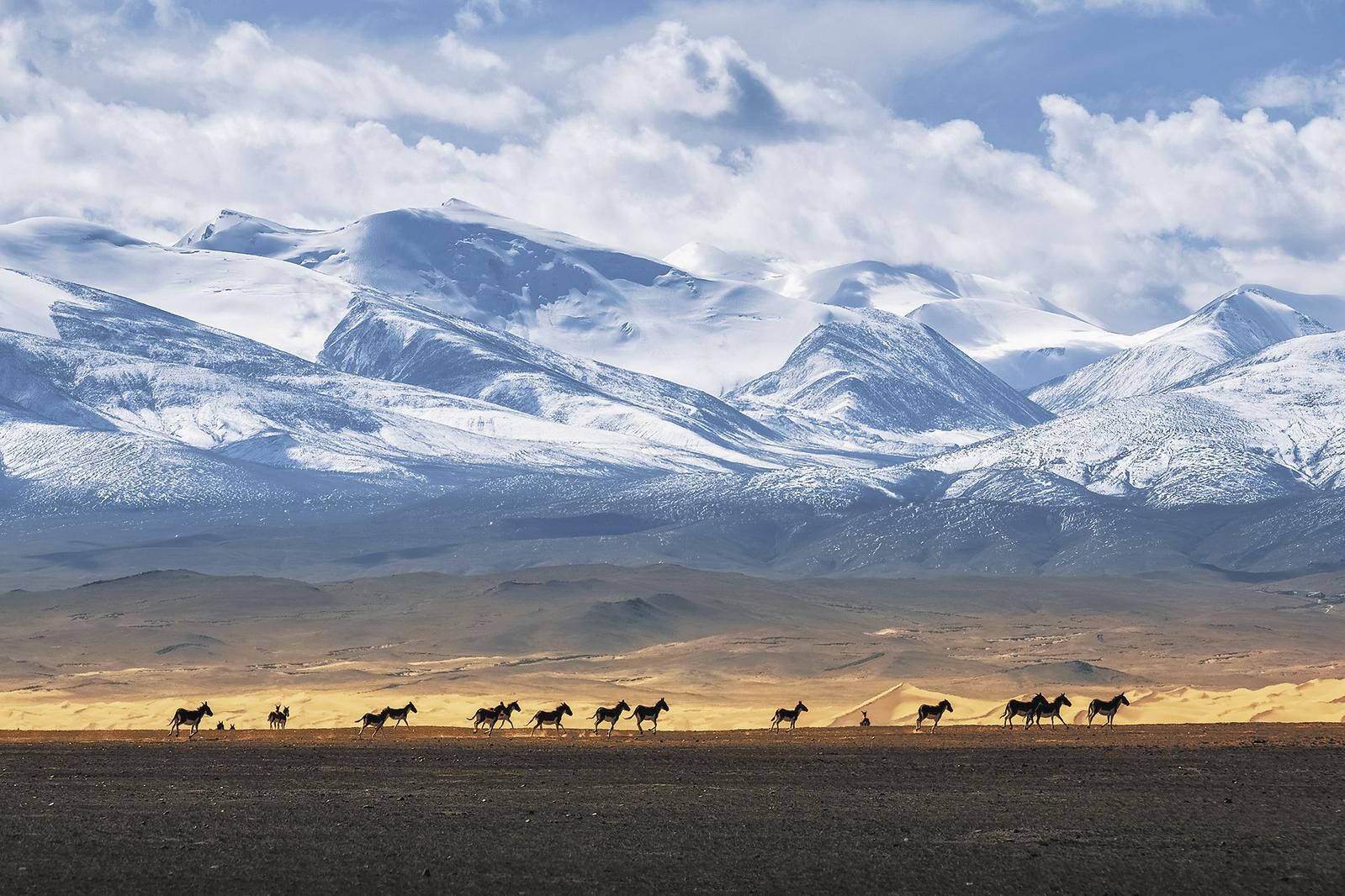 QQ�DƬ20250423061606