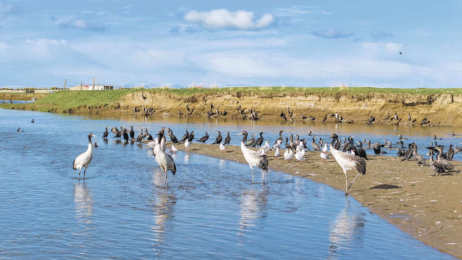 QQ�DƬ20250428060344