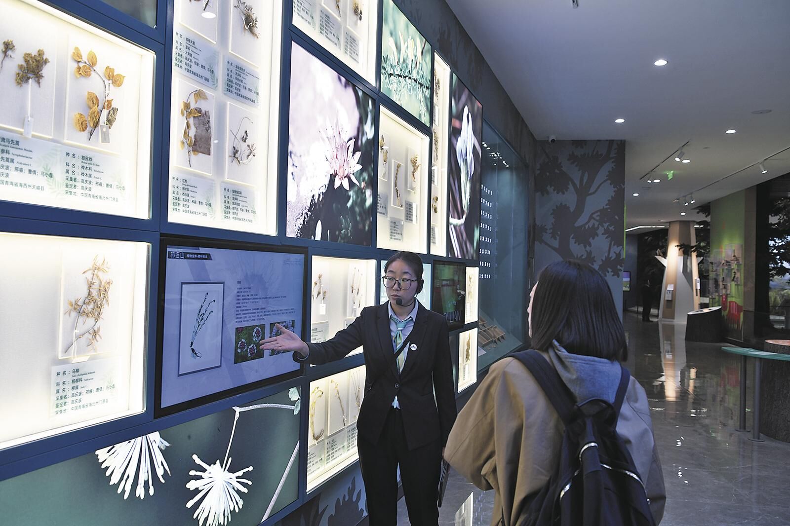 QQ�DƬ20250513054117