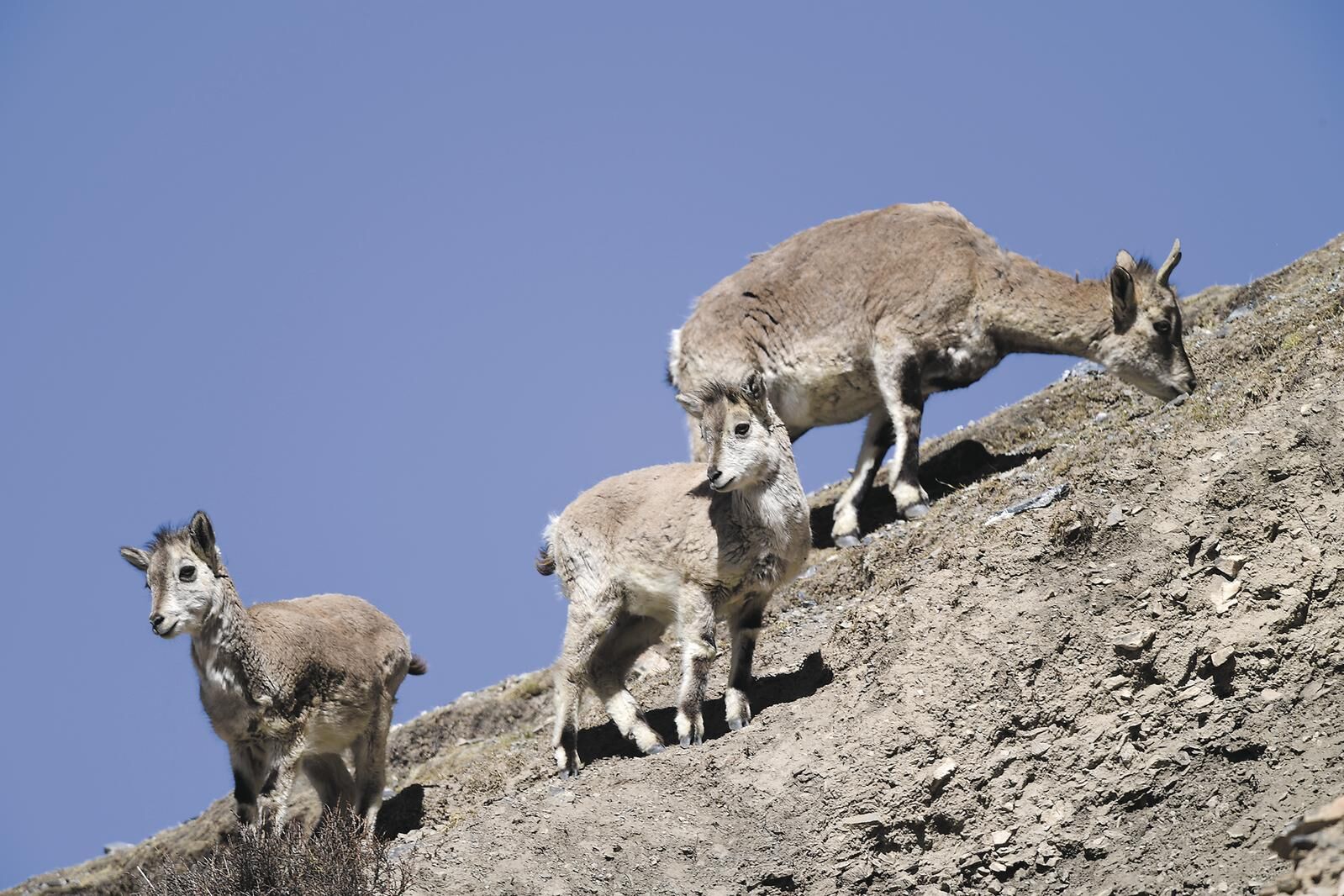 QQ�DƬ20250523053439