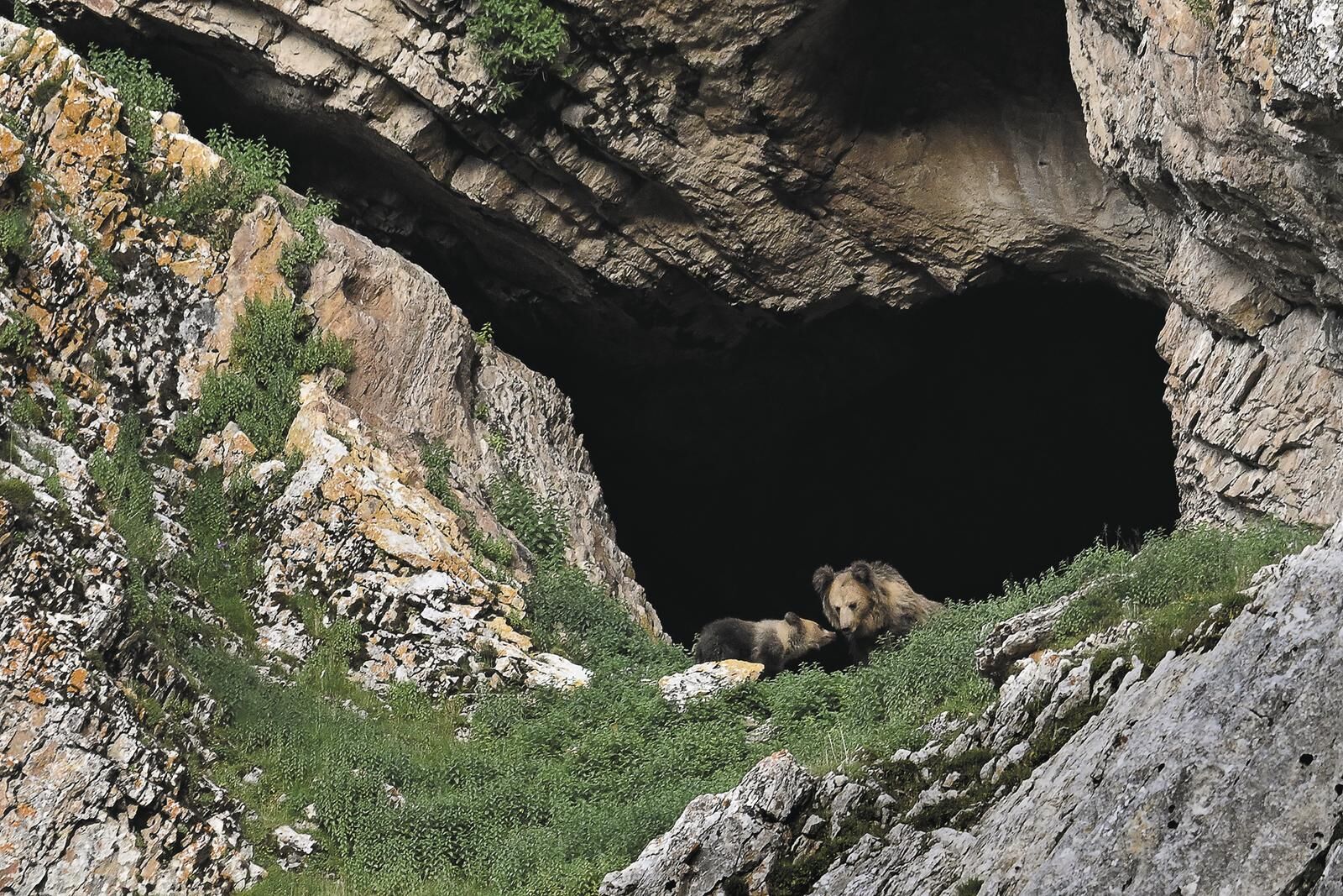 QQ�DƬ20250523060936