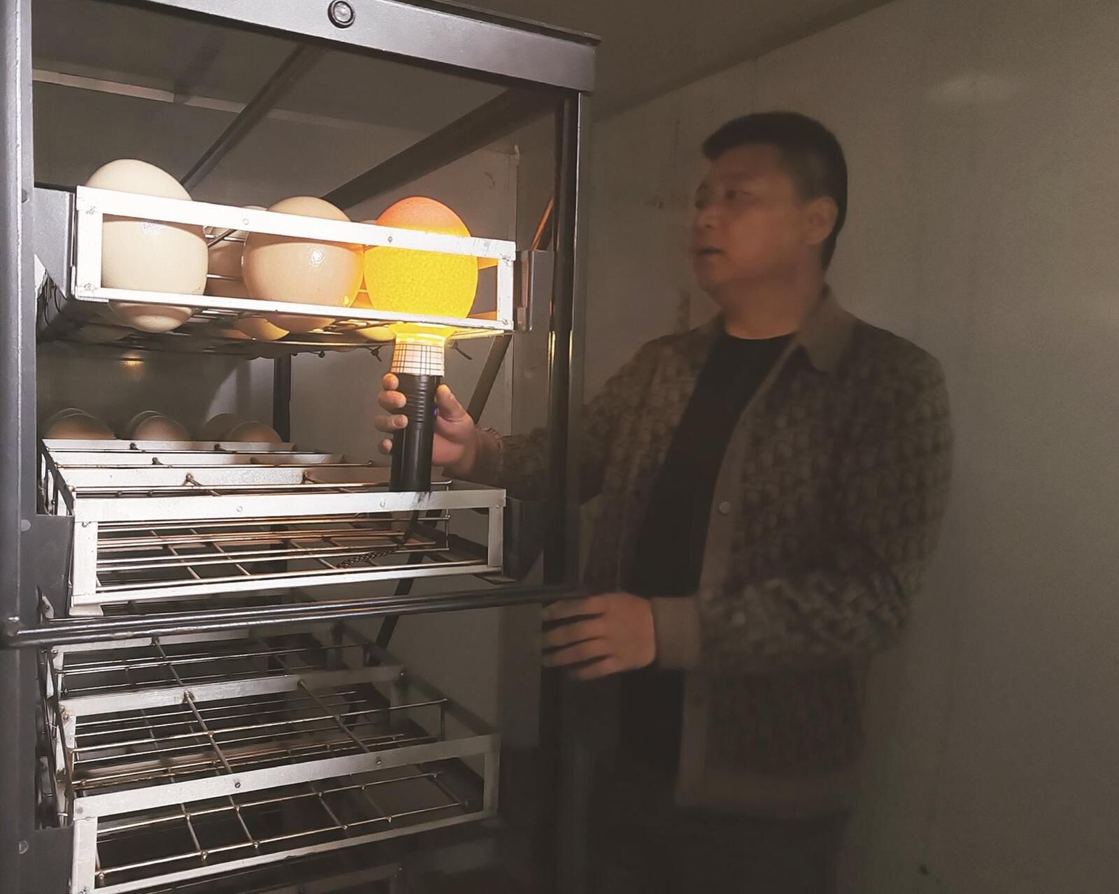 QQ�DƬ20250523062222