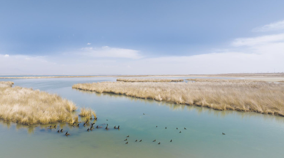 “我有一個夢想”——一個省級自然保護區的獨白