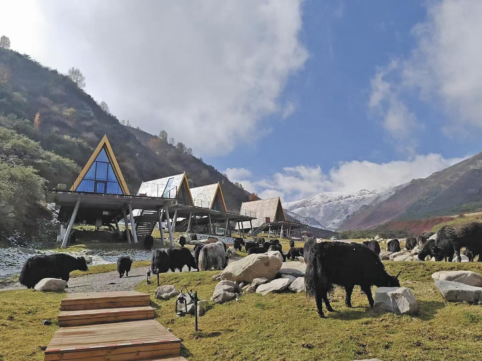 QQ�DƬ20250527061611