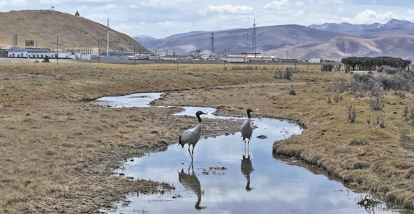 ����֮�� �������衪�����Bɽ���ҹ��@���x�^�ຣƬ�^�B��^����ӛ