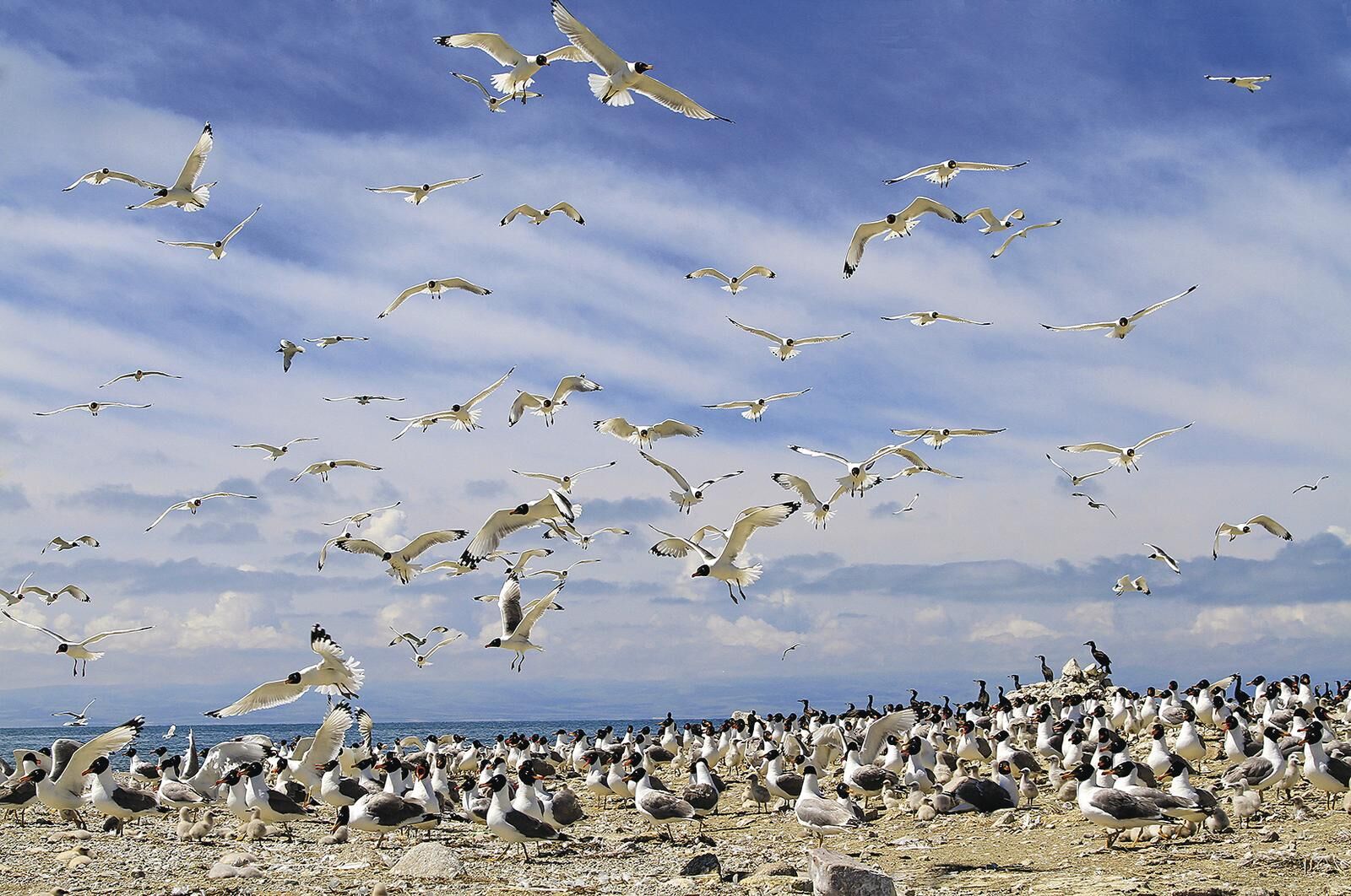 QQ�DƬ20250605054513