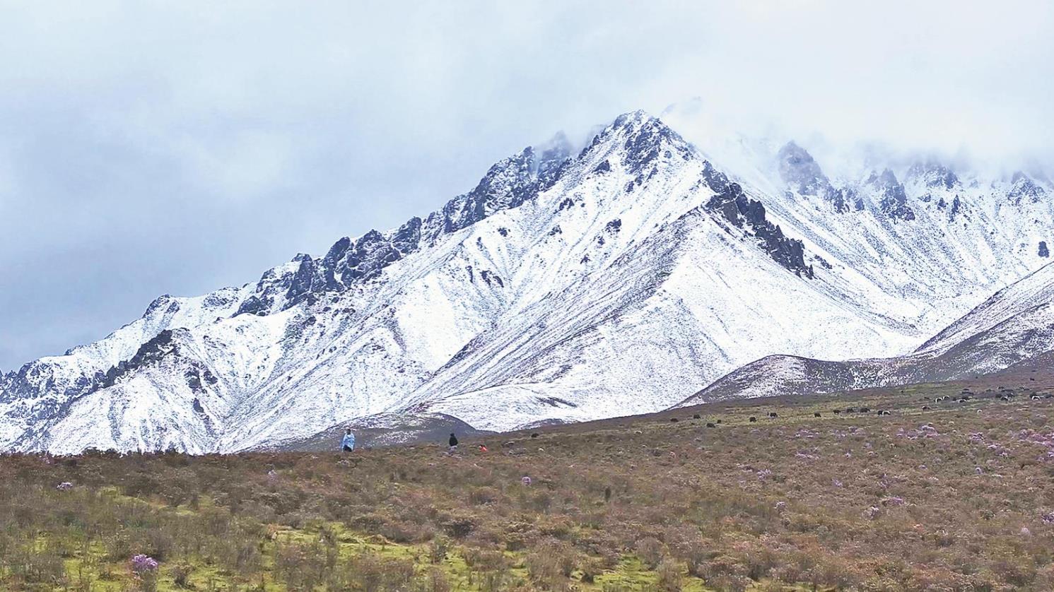 �@ɽ���@�����^����