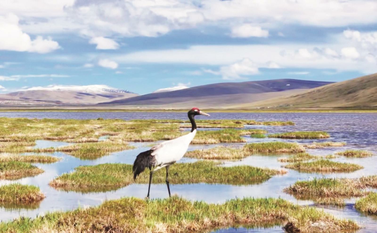 �ຣ¡�������21�����i�Q������C