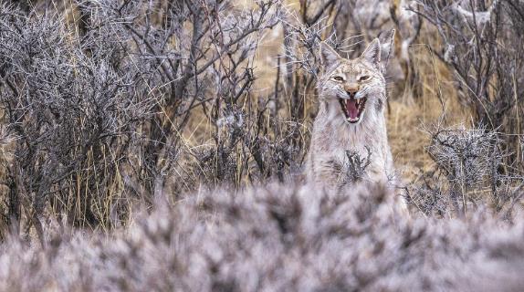 �R�^������B���������Ԓ���Bɽ���ҹ��@���x�^��ϯ���s�zӰ���U����