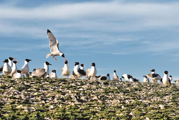 ���Զ����� ���ɠ��� ����W��؞������ƽ����ӛ�����ຣ��Ҫ�vԒ����һ����ˮ������B���