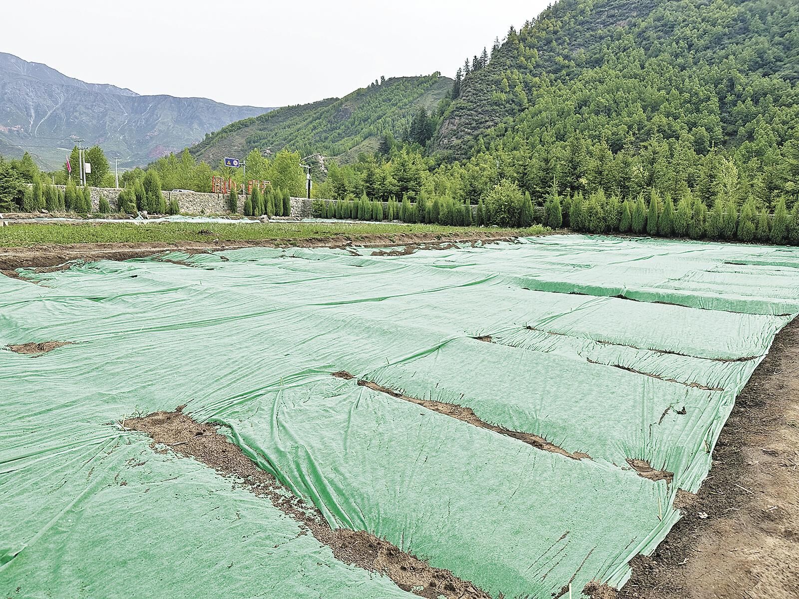 ��2025����Դ�h�����o�С��ຣ�������Gɫ�ֺ��еġ�ʡ��������