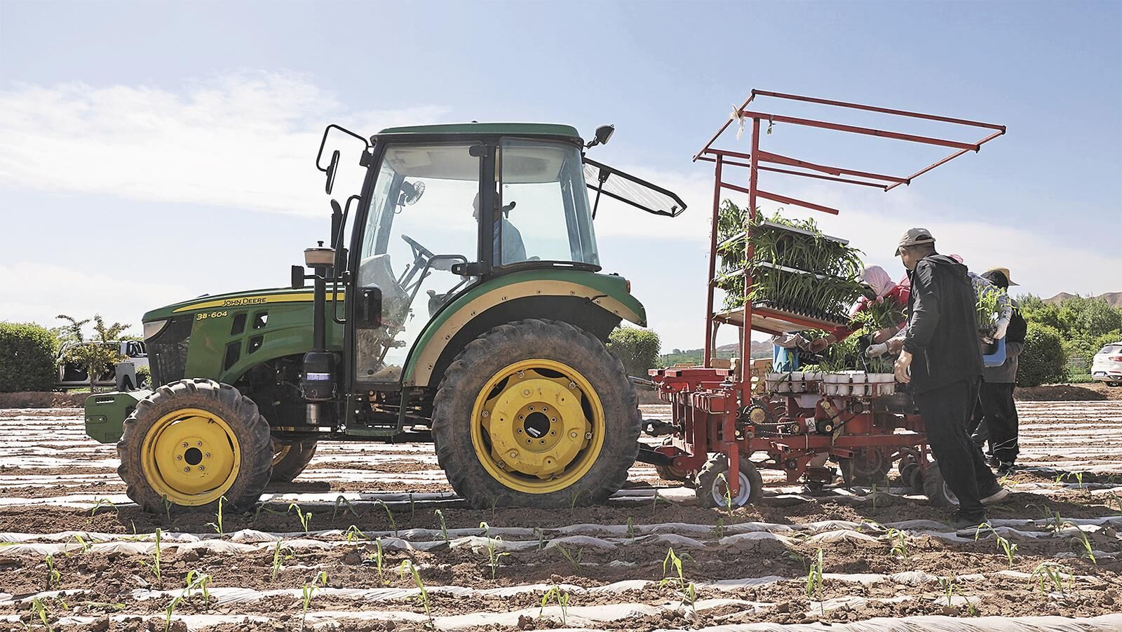 QQ�DƬ20250611062023