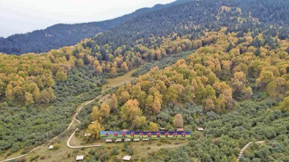 ���ຣ�ֲݮa(ch��n)�I(y��)���|���l(f��)չ�{���С�������һ���Ľ�(j��ng)���^�졿�Gˮ��ɽ���ֵ �����ο͸��˰���